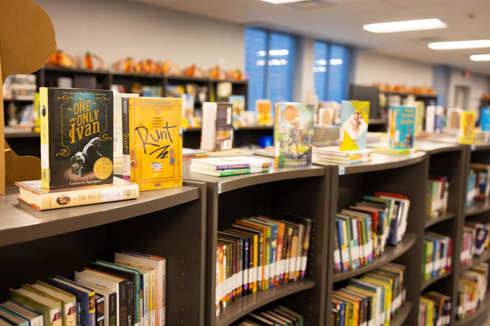 Books in the library